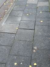 Bild zu gemeldetem Anliegen vom *2024-11-30 14:26:44