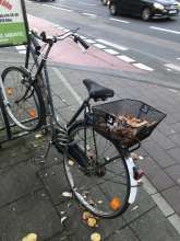 Bild zu gemeldetem Anliegen vom *2024-11-11 06:32:31