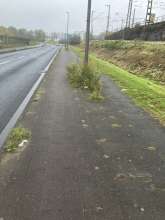 Fuß und Radweg zugewachsen, Randsteine ca 0,5 m Eingewachsen.