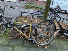 Bild zu gemeldetem Anliegen vom *2024-11-29 15:36:14
