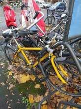 Bild zu gemeldetem Anliegen vom *2024-11-25 12:28:09