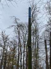 Bild zu gemeldetem Anliegen vom *2024-11-26 18:29:52