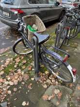 Bild zu gemeldetem Anliegen vom *2024-11-29 06:28:39