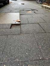 Bild zu gemeldetem Anliegen vom *2024-11-27 09:27:14
