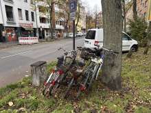 Bild zu gemeldetem Anliegen vom *2024-11-27 06:28:14