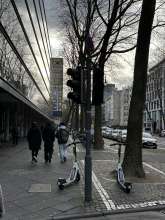 Bild zu gemeldetem Anliegen vom *2024-11-28 12:28:13