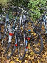 Bild zu gemeldetem Anliegen vom *2024-11-26 09:27:24