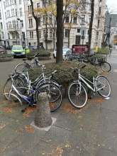 Bild zu gemeldetem Anliegen vom *2024-11-10 12:27:54