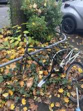 Bild zu gemeldetem Anliegen vom *2024-11-14 15:30:09