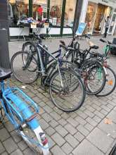 Bild zu gemeldetem Anliegen vom *2024-12-23 08:38:46