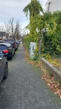 Bild zu gemeldetem Anliegen vom *2024-12-13 10:35:08