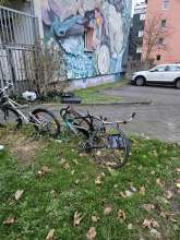 Bild zu gemeldetem Anliegen vom *2024-12-11 08:46:05