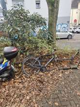 Bild zu gemeldetem Anliegen vom *2024-12-11 12:43:45