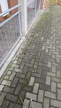 Bild zu gemeldetem Anliegen vom *2024-12-18 13:07:56