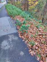 Bild zu gemeldetem Anliegen vom *2024-12-03 15:27:44