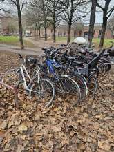 Bild zu gemeldetem Anliegen vom *2024-12-14 14:13:25