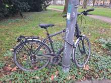 Bild zu gemeldetem Anliegen vom *2024-12-27 06:35:35