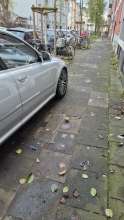 Bild zu gemeldetem Anliegen vom *2024-12-08 09:39:12
