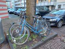 Die Räder werden einfach am Baum entsorgt. vom *2024-12-26 12:17:20