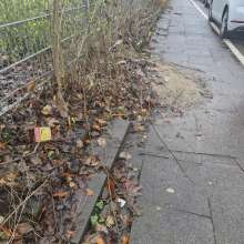 Bild zu gemeldetem Anliegen vom *2024-12-06 12:28:18