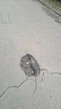 Bild zu gemeldetem Anliegen vom *2024-12-08 12:33:42