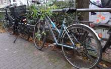 Bild zu gemeldetem Anliegen vom *2024-12-02 09:33:04