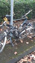 Bild zu gemeldetem Anliegen vom *2024-12-07 15:27:09
