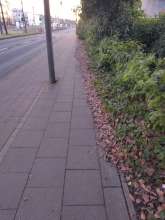 Bild zu gemeldetem Anliegen vom *2024-12-28 09:27:59