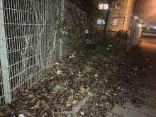 Bild zu gemeldetem Anliegen vom *2024-12-30 05:18:18