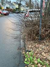 Bild zu gemeldetem Anliegen vom *2024-12-16 06:31:31