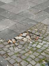 Bild zu gemeldetem Anliegen vom *2024-12-08 10:51:26