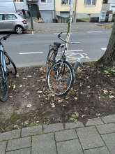 Bild zu gemeldetem Anliegen vom *2024-12-12 06:33:38
