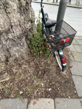 Bild zu gemeldetem Anliegen vom *2024-12-12 11:38:42