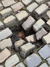 Bild zu gemeldetem Anliegen vom *2024-12-08 09:34:38
