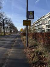 Bild zu gemeldetem Anliegen vom *2024-12-01 12:28:18