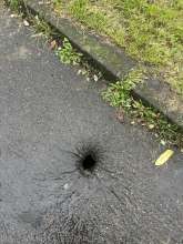 Bild zu gemeldetem Anliegen vom *2024-12-07 12:30:48