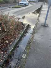 Bild zu gemeldetem Anliegen vom *2024-12-23 09:32:30