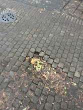 Bild zu gemeldetem Anliegen vom *2024-12-07 14:45:04