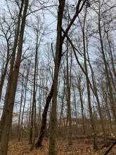 Bild zu gemeldetem Anliegen vom *2024-12-06 09:29:25