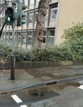 Bild zu gemeldetem Anliegen vom *2024-12-07 15:27:09 Gulli Neue Weyerstr