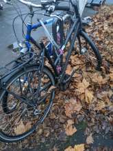 Bild zu gemeldetem Anliegen vom *2024-12-15 15:37:17