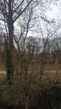 Bild zu gemeldetem Anliegen vom *2024-12-10 09:29:07