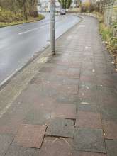 Bild zu gemeldetem Anliegen vom *2024-12-07 09:31:23