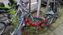 Bild zu gemeldetem Anliegen vom *2025-01-08 15:35:34