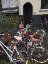 Bild zu gemeldetem Anliegen vom *2025-01-06 09:37:04