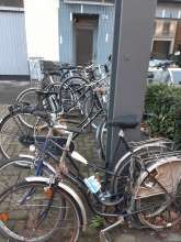 Bild zu gemeldetem Anliegen vom *2025-01-05 09:32:44
