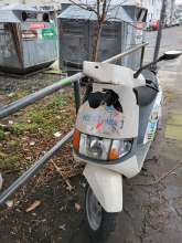 Bild zu gemeldetem Anliegen vom *2025-01-09 06:28:04