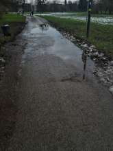 Bild zu gemeldetem Anliegen vom *2025-01-12 12:29:23