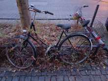 Bild zu gemeldetem Anliegen vom *2025-01-21 15:29:39