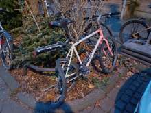 Bild zu gemeldetem Anliegen vom *2025-01-21 17:51:39